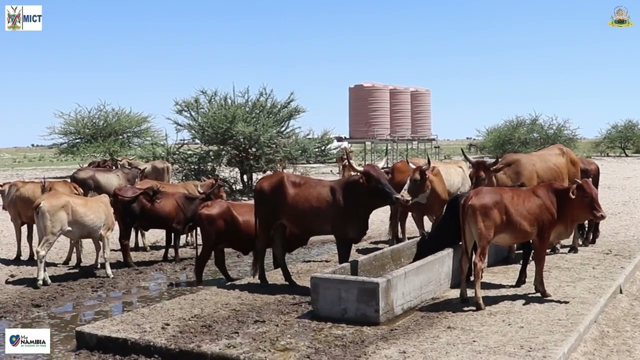 Oshana Regional Profile