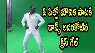 Chris Gayle Dancing For Telugu Song | Gayle Latest Dancing Video | Oo Pilla Monika | HR NEWS TELUGU