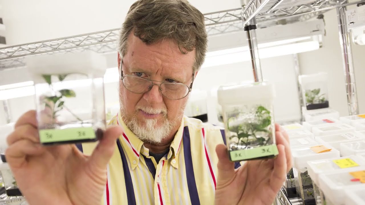 Citrus Research Historical Marker