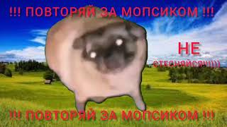 !!! Повторяй За Мопсиком !!!