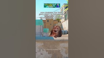 Сам просил #cs2 #cs2funny #cs2clips #cs2moments #cs2memes #кс2 #кс2мемы #кс2приколы #knifex #csgo