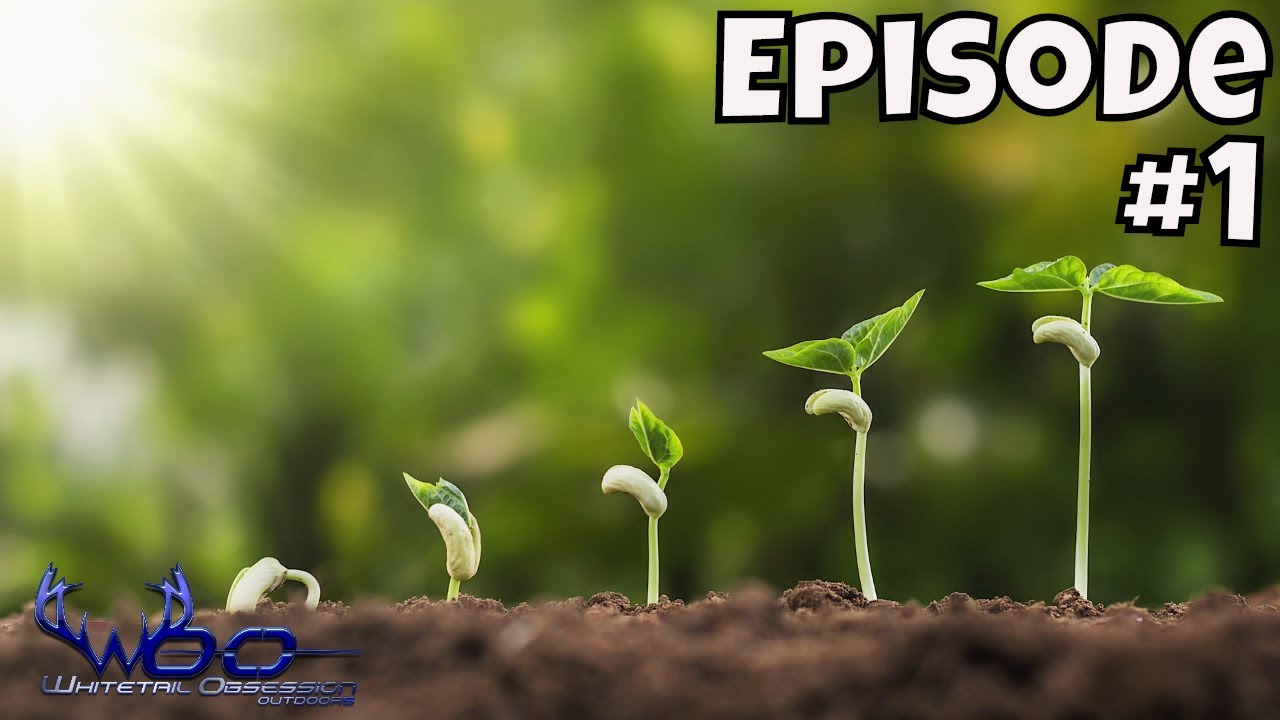 FOOD PLOTS FOR BEGINNERS SUNLIGHT FOR PLANTS, PH, SOIL TESTING YouTube