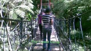Valencia NegOr Sights & Tourist Spots