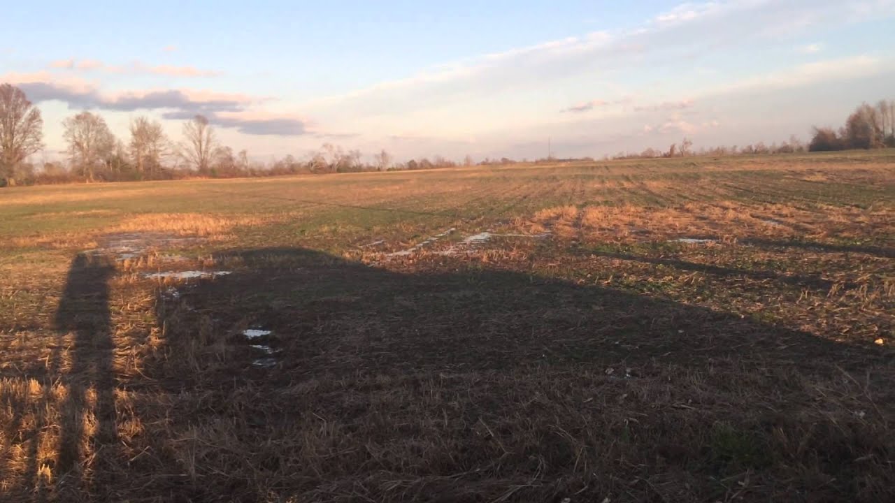 Farm for Sale The McNatt Team Newton Realty & Auction YouTube