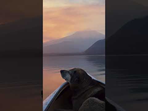 Я скучаю Моя любовь….