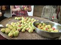 自釀桃子酒 濃濃桃子香味 一喝就停不下來 Making Homemade Peach Wine