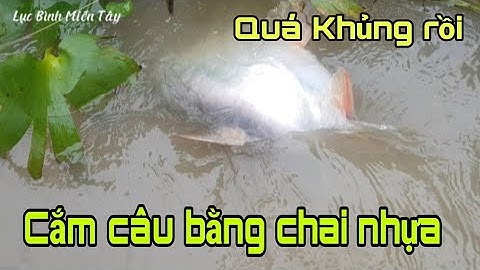 Cắm câu cá tra bằng chai nhựa || Plug in tra fish with plastic bottles