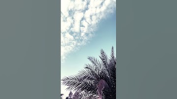 مادمت تقرأ الاذكار ابشر بكل خير للشيخ محمد الشنقيطي