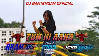 TUM HI AANA - DJ BANTENGAN ||slow santuy