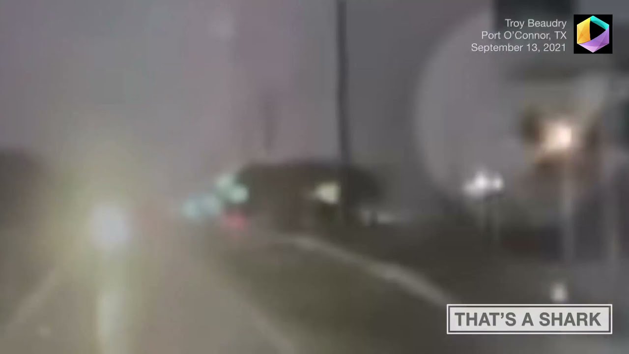 'Shark' Goes Airborne During Hurricane Nicholas - YouTube