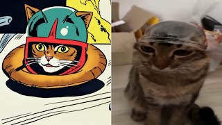 Cat Memes | Skibidi Toilet Cat and Funniest Dogs | Funny Animals | Trending | Part 8