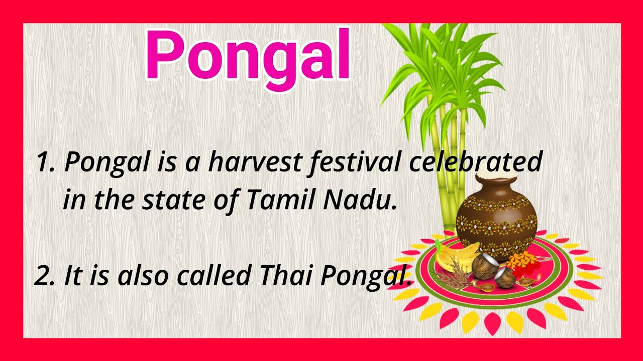 essay on my favourite festival pongal