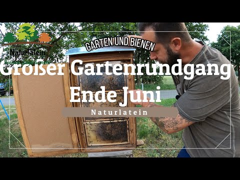 Video: Frühjahrsfütterung von Obstbäumen. Wie man Obstbäume düngt