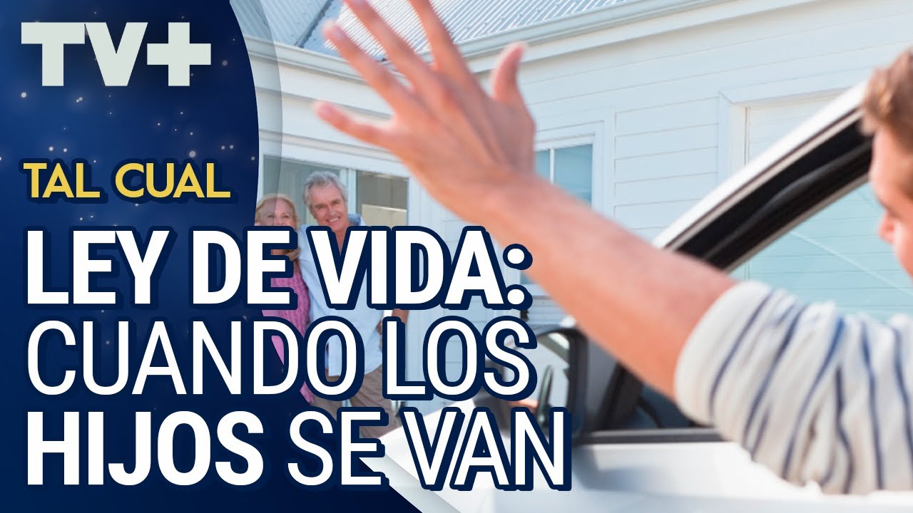 Cuando los hijos se van YouTube Cuando los hijos se van YouTube
