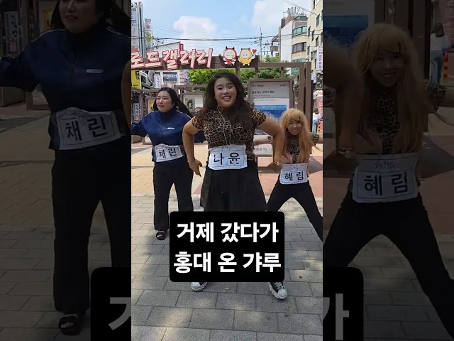 거제 갔다가 홍대 온 갸루