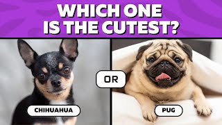 WHICH DOG DO YOU PREFER?