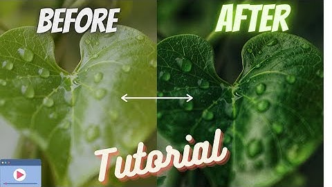 Raindrop Leaf Photography and editing | Snapseed Editing Tutorial