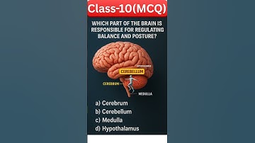 🧠 Control and Coordination | Class 10 MCQs for Boards #class10science #mcq #class10 #mcqclass10