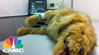 Robotic Dog Helps Veterinary Students Train For Real World Applications | CNBC