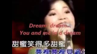 甜蜜蜜 Tian Mi Mi by Teresa Deng (卡拉OK英文版 English Karaoke Version)