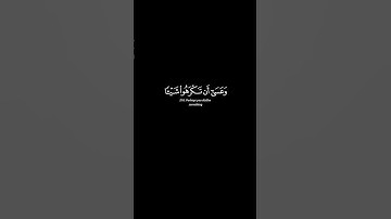 تلاوة الشيخ ماهر المعيقلي | سورة البقرة 216 #الله #القرآن #لا_اله_الا_الله