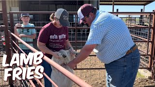 Buying Rams and Weaning Lambs!