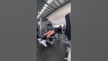 Conventional Prone Leg Curl Machine