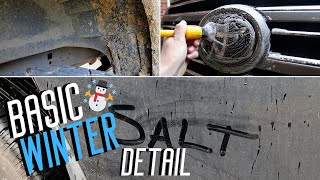 Deep Cleaning a ROAD SALT Covered Land Cruiser | Satisfying Exterior Car Detailing! screenshot 5