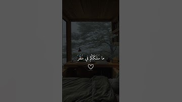 ما سَلَكَكُم في سَقَرَ|شريف مصطفى| سورة المدثر