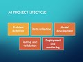 AI Project Lifecycle