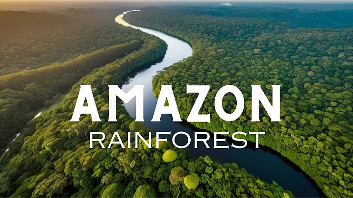 World of the Wild | Episode 1: The Amazon Rainforest | Free Documentary Nature
