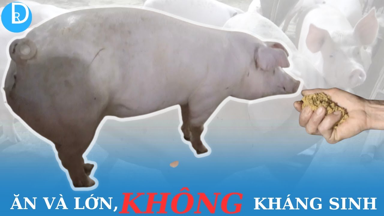 2 Tháng rồi anh KHÔNG phải dùng KHÁNG SINH nữa.