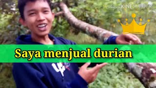 Bocah Jualan duren lucu status WhatsApp