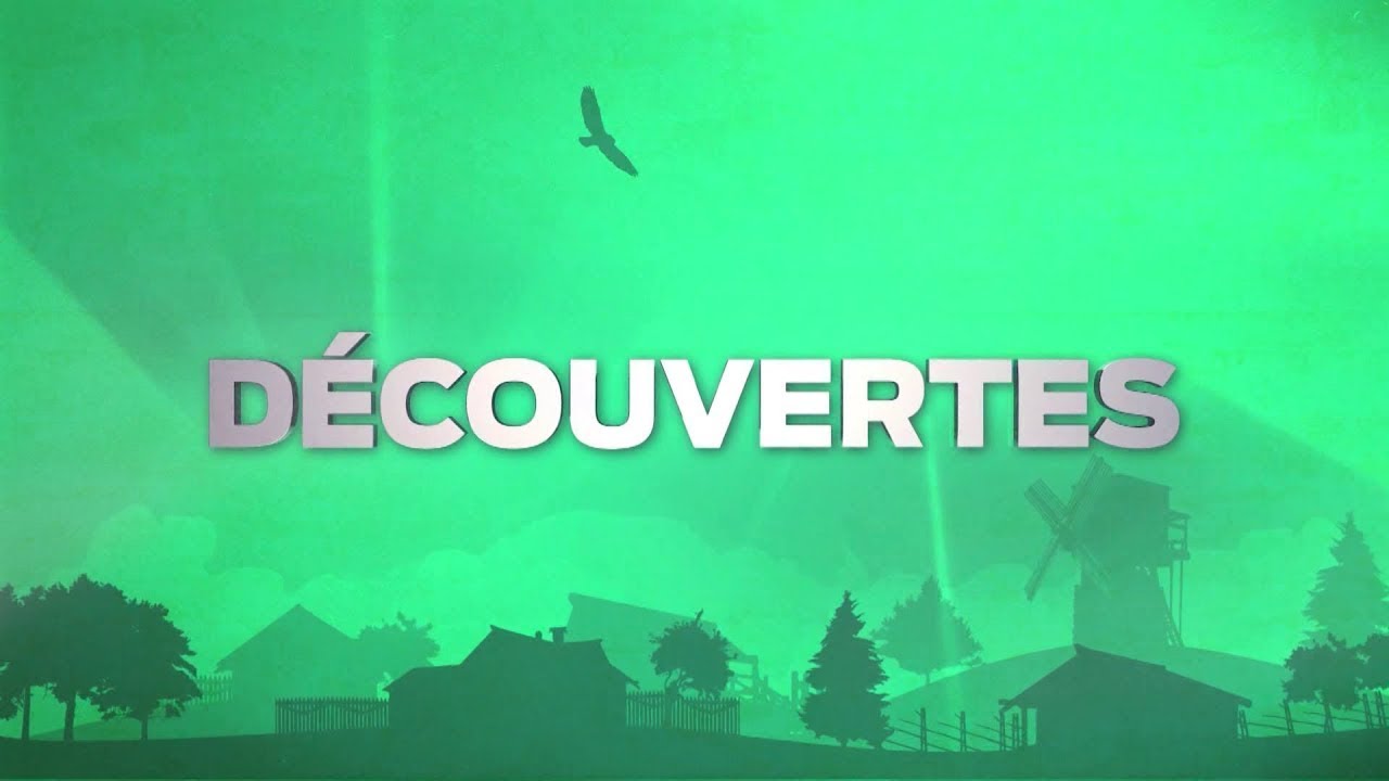 Découvertes - La vallée des singes