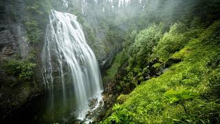 Discover Mt. Rainier National Park from Seattle, Washington