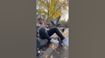 Feeding Pigeons… Until THIS Happened 😳😂 | Viral Realistic Short 2025  #aianimation #viralshort #meme