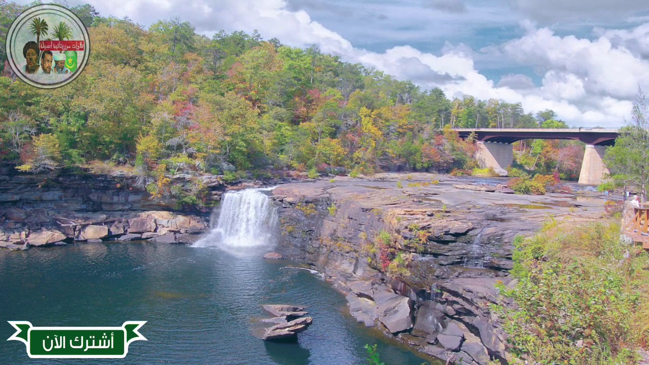 أجمل صوت موريتاني يحرك القلوب بتلاوة القرآن الكريم