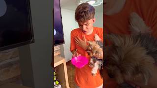 ROBO MIS BOCADILLOS 😞PERO ERA COMIDA PARA PERROS 🤣#familiaibañez #humor #comedia #fypシ゚viral