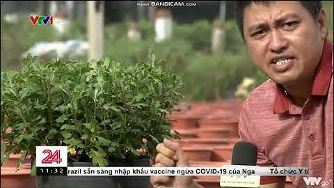 Tác hại của thuốc bảo vệ thực vật với sức khỏe và môi trường