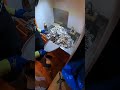 春が来たから。