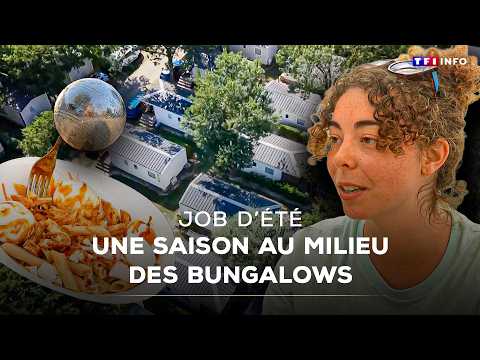 ☀️⛺️ Summer Job: A Season Among the Bungalows｜TF1 INFO