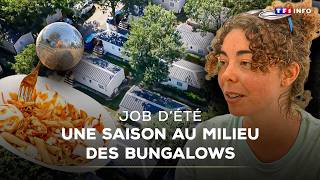 Job Dété Une Saison Au Milieu Des Bungalowstf1 Info