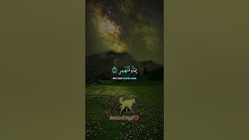 Surah Al-Qamar with English Translation | سورة القمر #tilawat #quran #youtube #unfrezzmyaccount