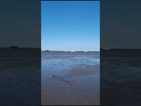 ⁣Máximas bajantes en el Río de la Plata. Sin agua junto al canal costanero #riodelaplata #sinagua