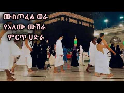 ቪዲዮ: የሸሸች ሙሽራ። ከፍላጎቶቻቸው እና ከእቅዶቻቸው ሁል ጊዜ ለሚሸሹ