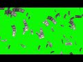 Dollars Money Falling Free Background Animation Loop footage Green screen Motion Graphic Video VFX 1