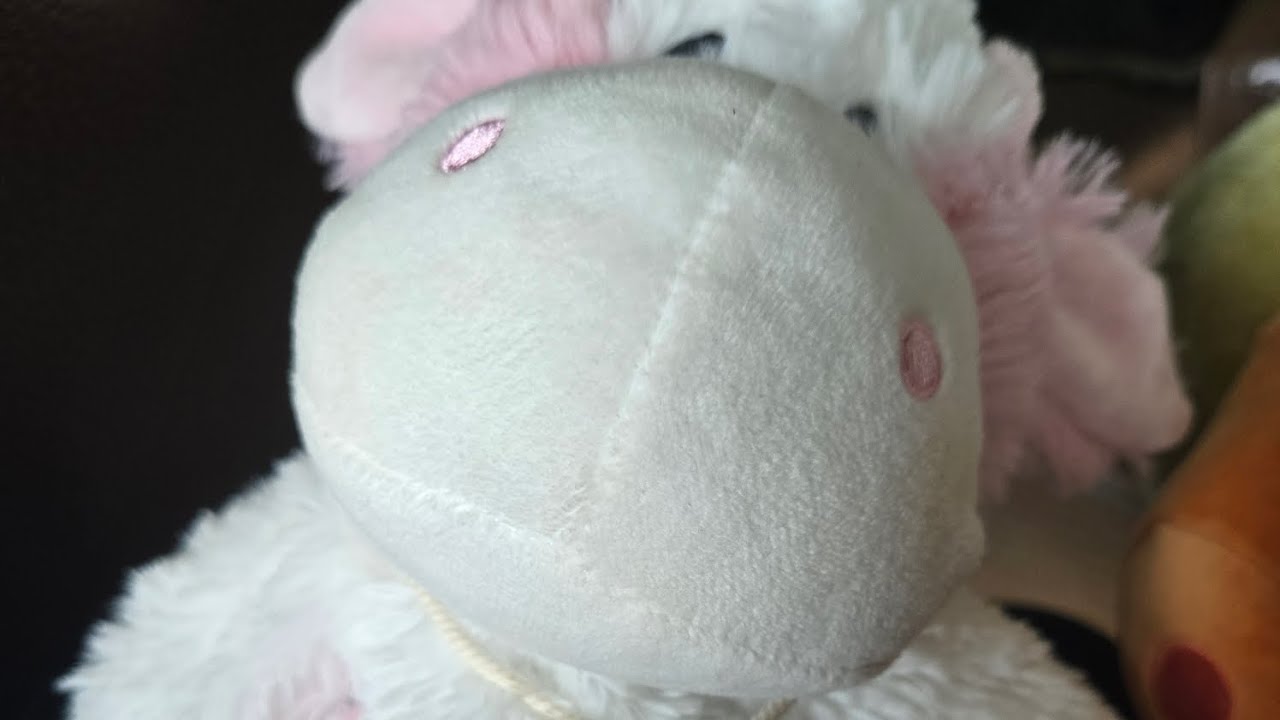 Skyes Summer Zebra's Trip to the Brookfield Zoo  Part 3 Hedgehog and Hedgehog music Video