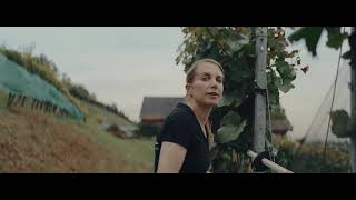 Imagefilm Weingut Schmidheiny und Höcklistein