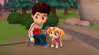 PAW Patrol: Chase is Glad That Skye And Chickaletta are Okay.