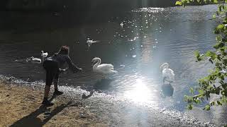 Remya Radha Ram Cover Song My Acting Trial